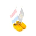 Sabot Double Drapeau Pays 14CM
