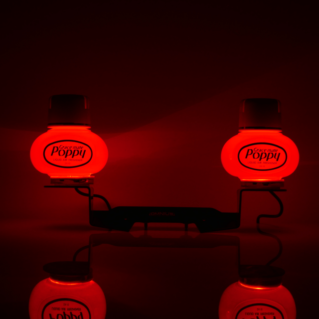 Kit de support Poppy Duo DAF XG/XG+ Jasmin