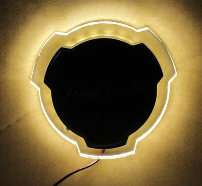 Logo lumineux pour Scania - 24V