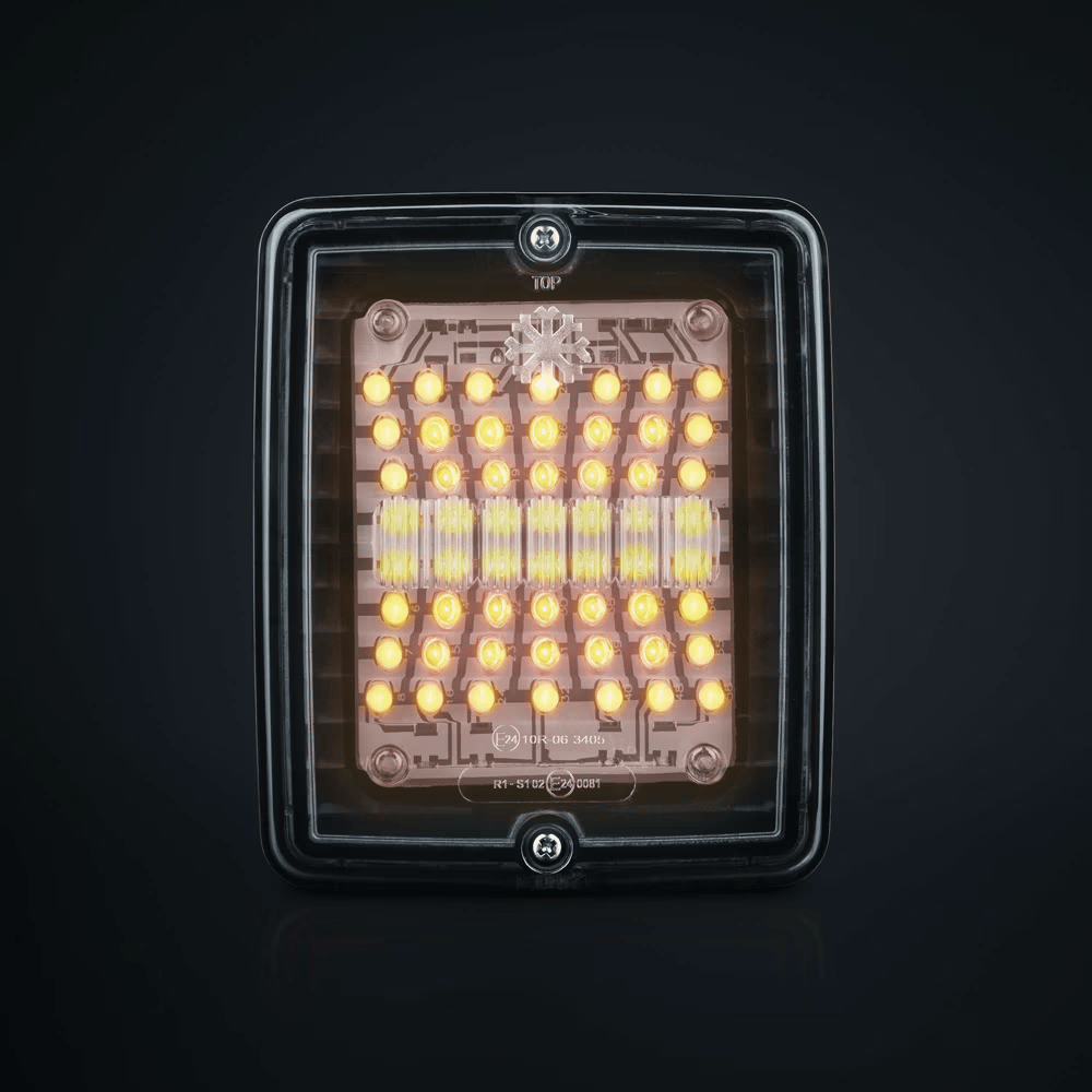 Flash de plage Izeled avec lentille claire