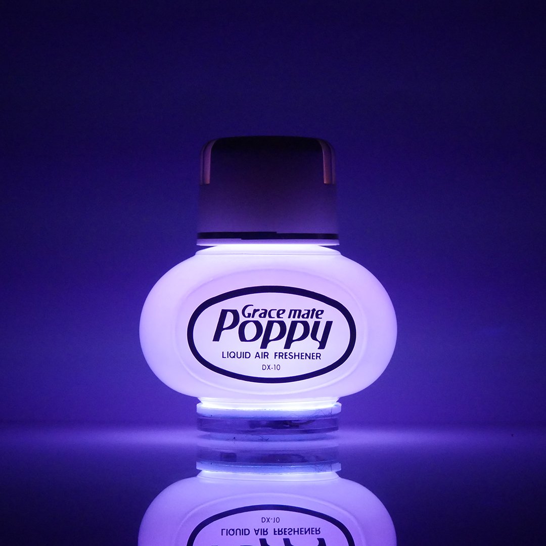 POPPY LED - RGB - 12-24 V - PRISE ALLUMEUR