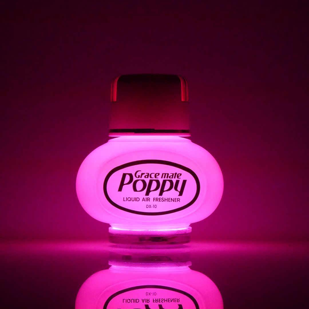 POPPY LED - RGB - 12-24 V - PRISE ALLUMEUR