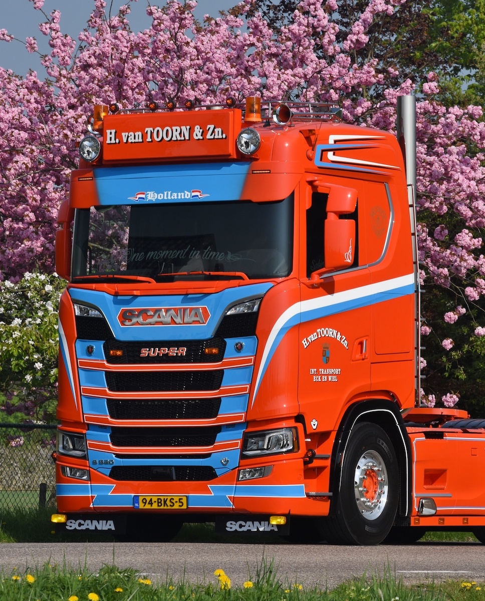 Bavette Scania Noire 65x43cm