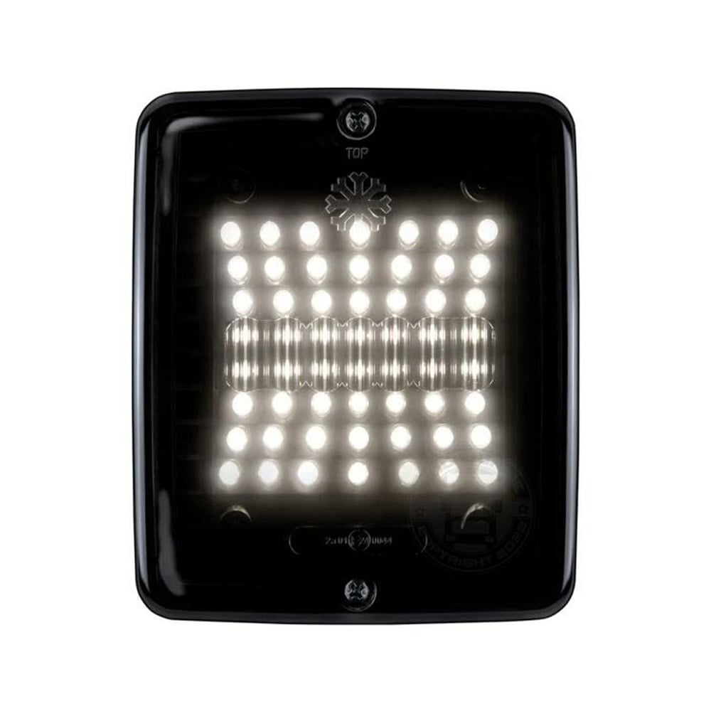 Strands Izeled Dark Knight Feu de recul