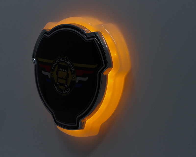 Emblema Impermeabile Ambra 24-30W 1.5W IP65 3 Metri Cavo Incluso Materiale di Montaggio