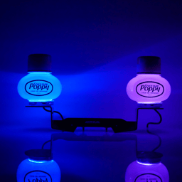 Kit de support Poppy Duo DAF XG/XG+ Jasmin