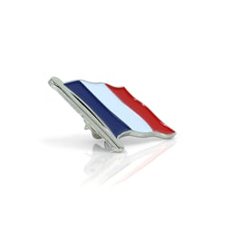 Épingle France Argent 2,5x2,5cm
