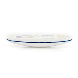 Roka Ledspot télécommande pour contrôleur
