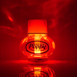 POPPY LED - RGB - 12-24 V - PRISE ALLUMEUR