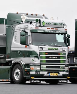 Bavette Scania Noire 65x43cm
