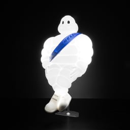 MICHELIN Feux de Position Additionnels 24V Émetteurs LED 40 cm Set de 2
