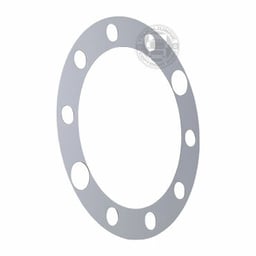 2510RP Anello Lucidato in Acciaio Inox per Simulatori di Ruote America