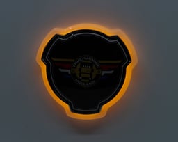 Emblema Impermeabile Ambra 24-30W 1.5W IP65 3 Metri Cavo Incluso Materiale di Montaggio