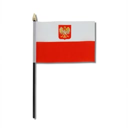 Drapeau 10x15cm Noir Support en Plastique Tête de Mât Dorée