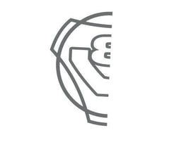 V8 Logo Half Raamsticker